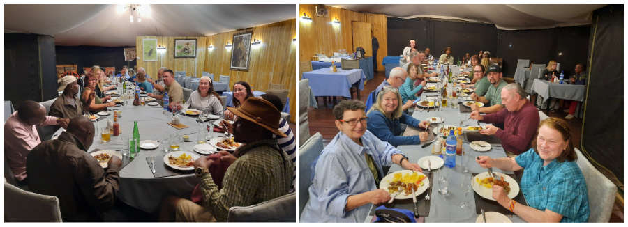 safari group meal