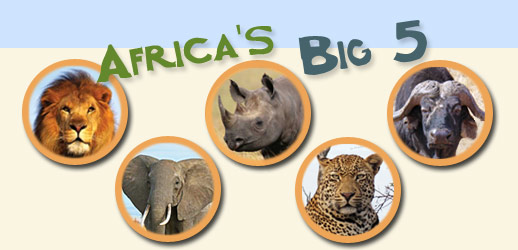 Africa's Big 5 animals