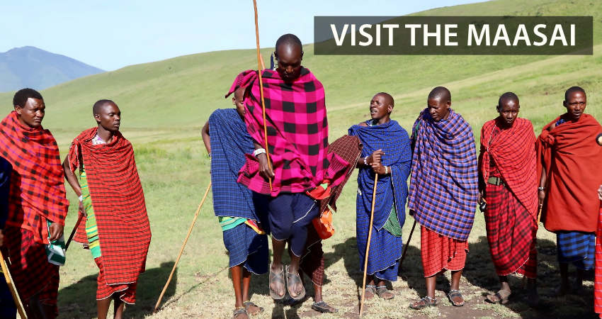 Visit the maasai tribe