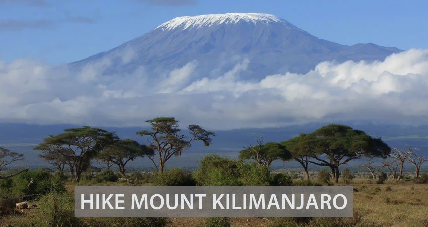 Hike Mount Kilimanjaro