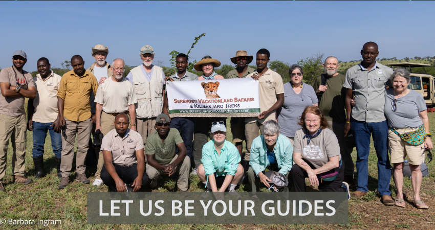 Let us be your tour guides