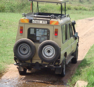 wildlife safari tour group