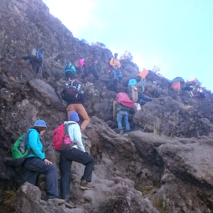 Mount Kilimanjaro Hikers