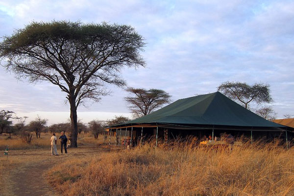 Serengeti tented camp